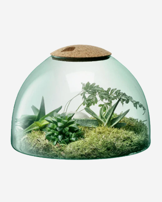 LSA Recycled Canopy Closed Garden with Cork