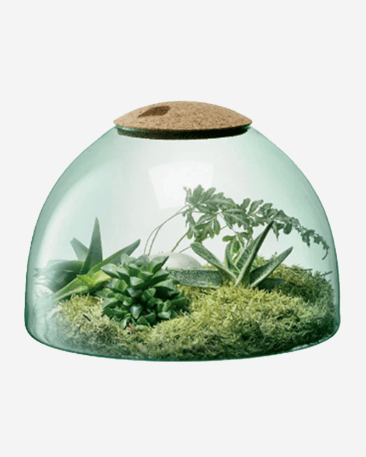 LSA Recycled Canopy Closed Garden with Cork