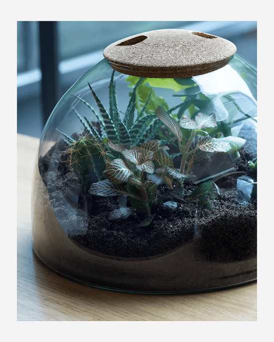 LSA Recycled Canopy Closed Garden with Cork