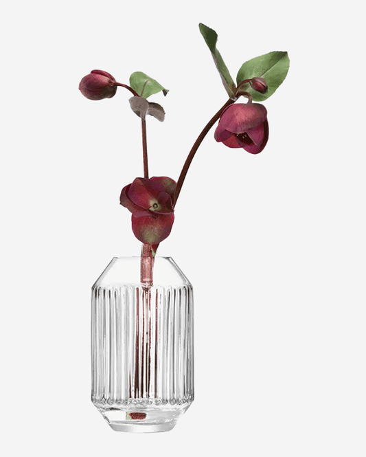 LSA Clear Rotunda Vase H15cm