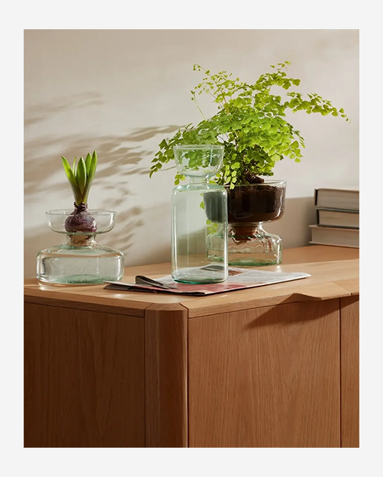 LSA Clear Canopy Vase Bulb Planter H20cm