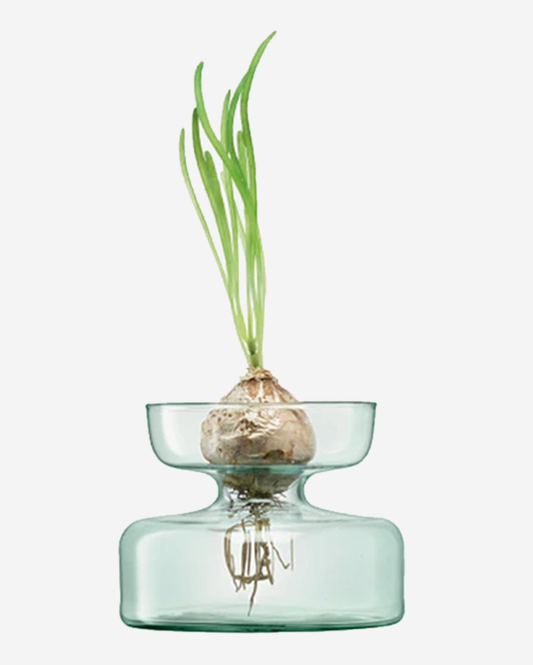 LSA Clear Canopy Vase Bulb Planter H10cm