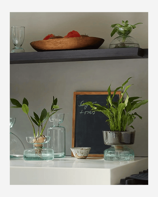 LSA Clear Canopy Vase Bulb Planter H10cm