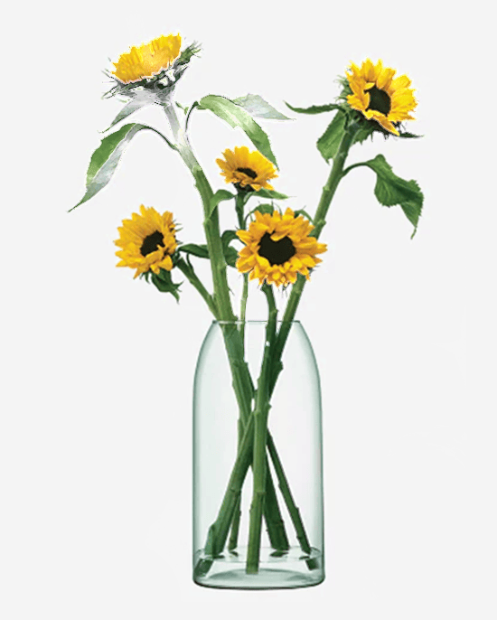 LSA Canopy Vase Recycled