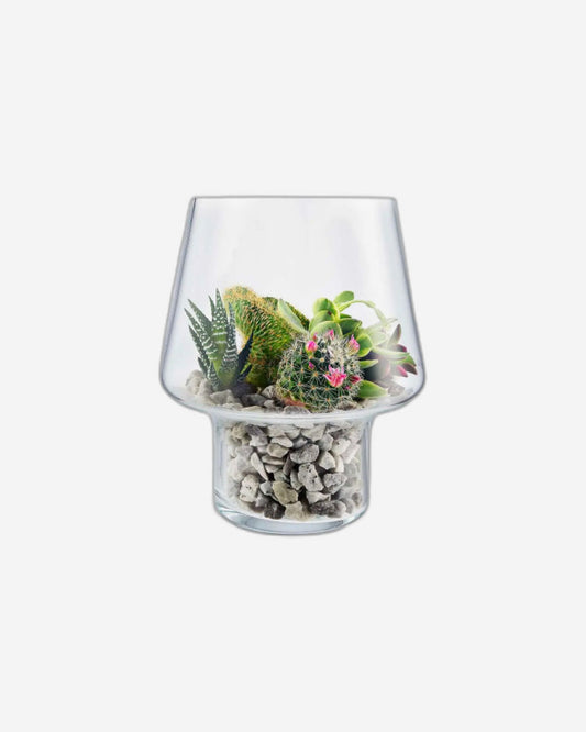 Eva Solo 568187 Succulent Glass Vase 15cm