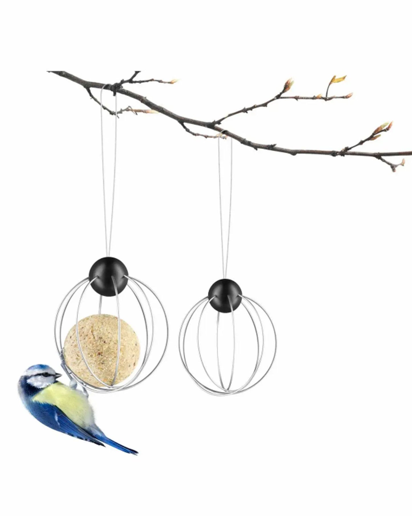 Eva Solo 571033 2 Suet Bird Feeders