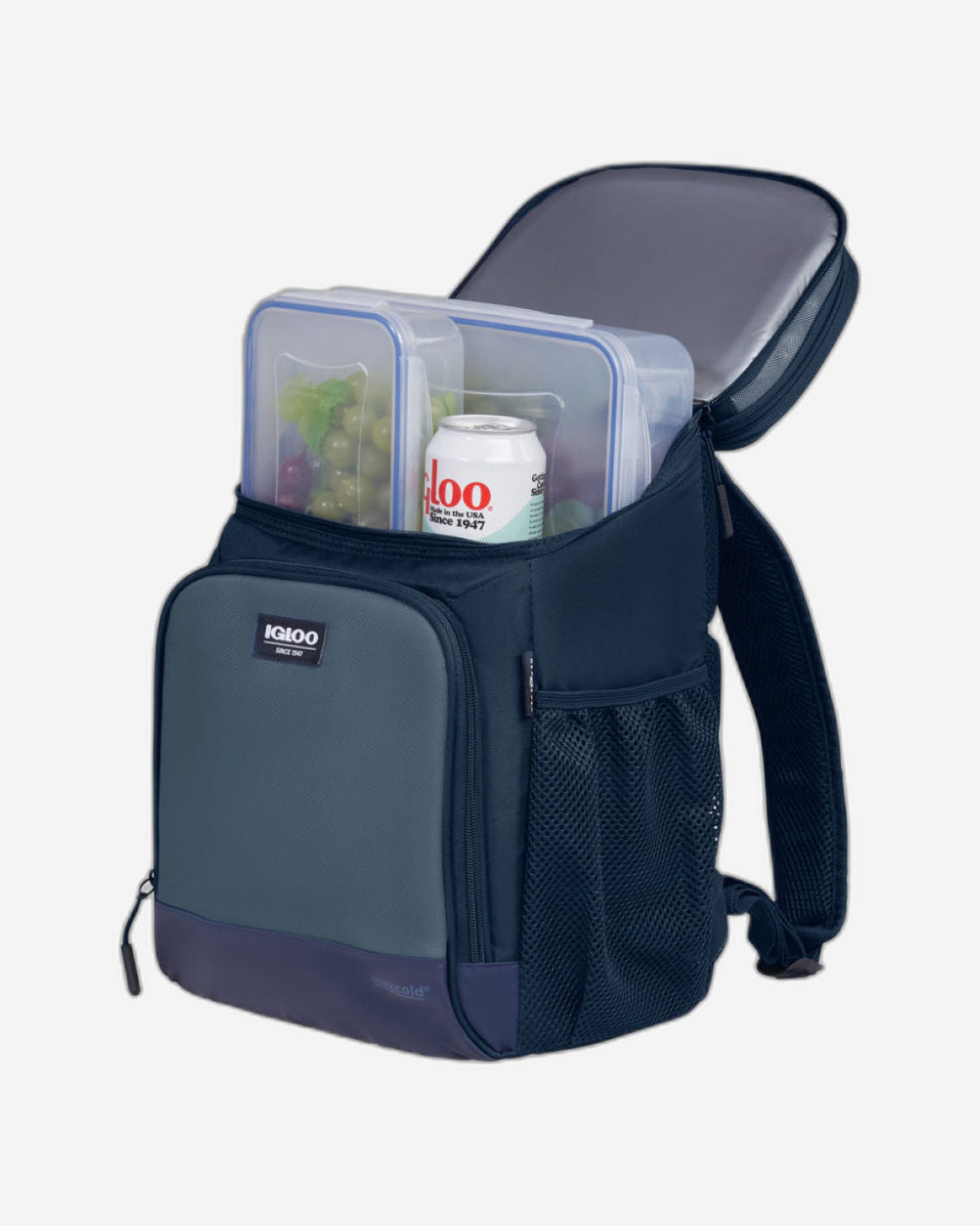 Igloo-Backpack Coolers (18-30 Can) - Blue