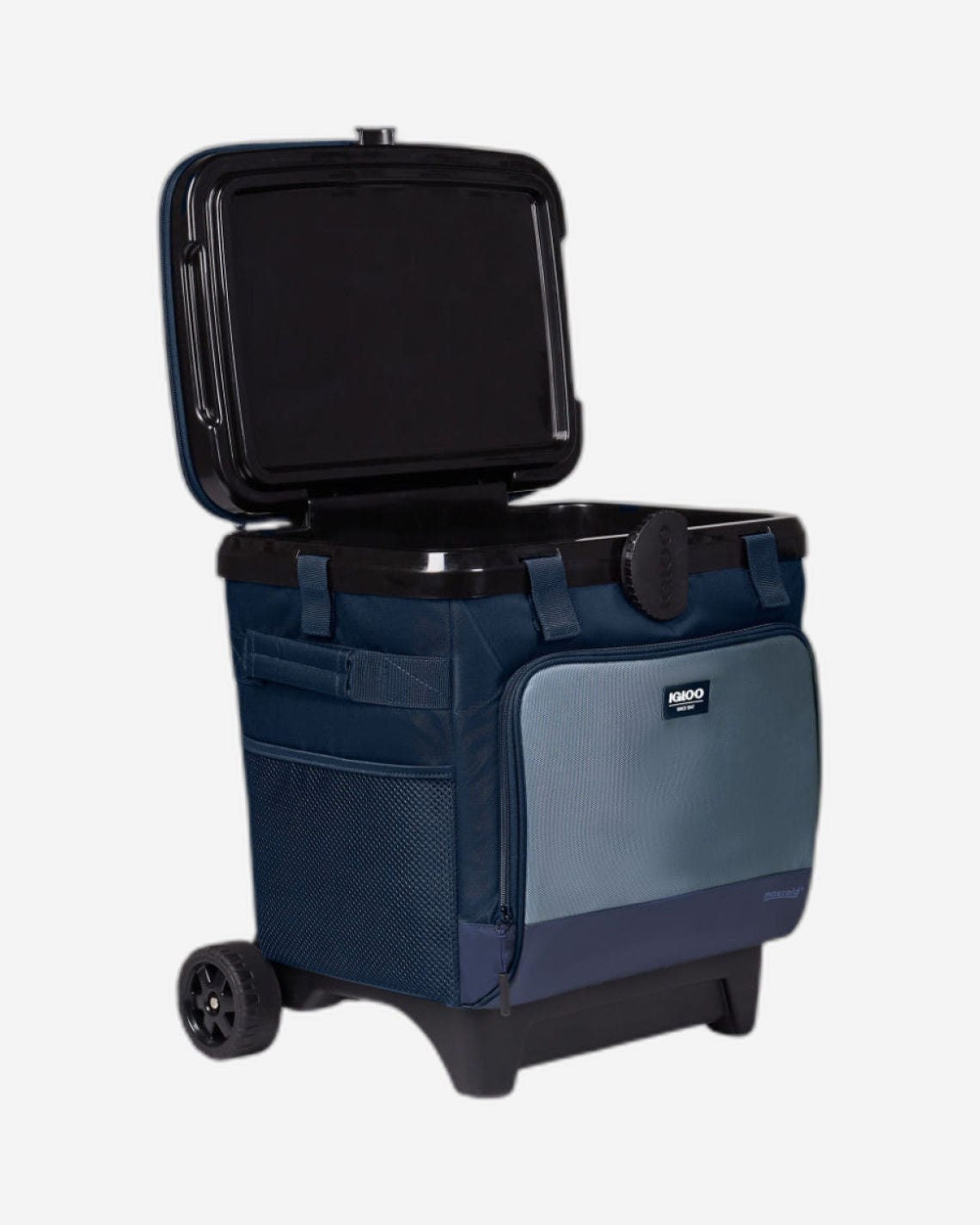 00066130-Igloo-MaxCold Evergreen Cool Fusion 36-Can Bag - Blue
