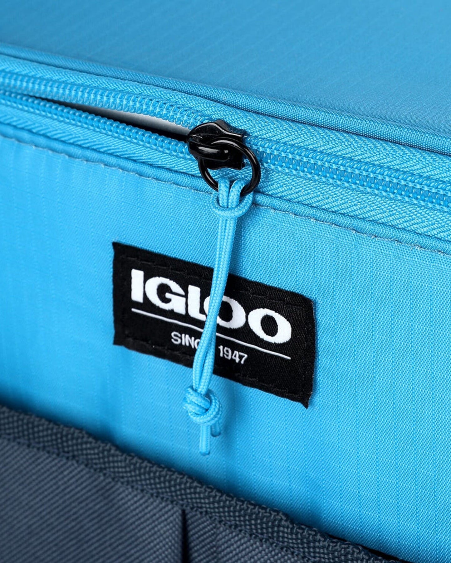 00066204-Igloo-Hlc 24 Opp Essentials Cooler Bag - Blue
