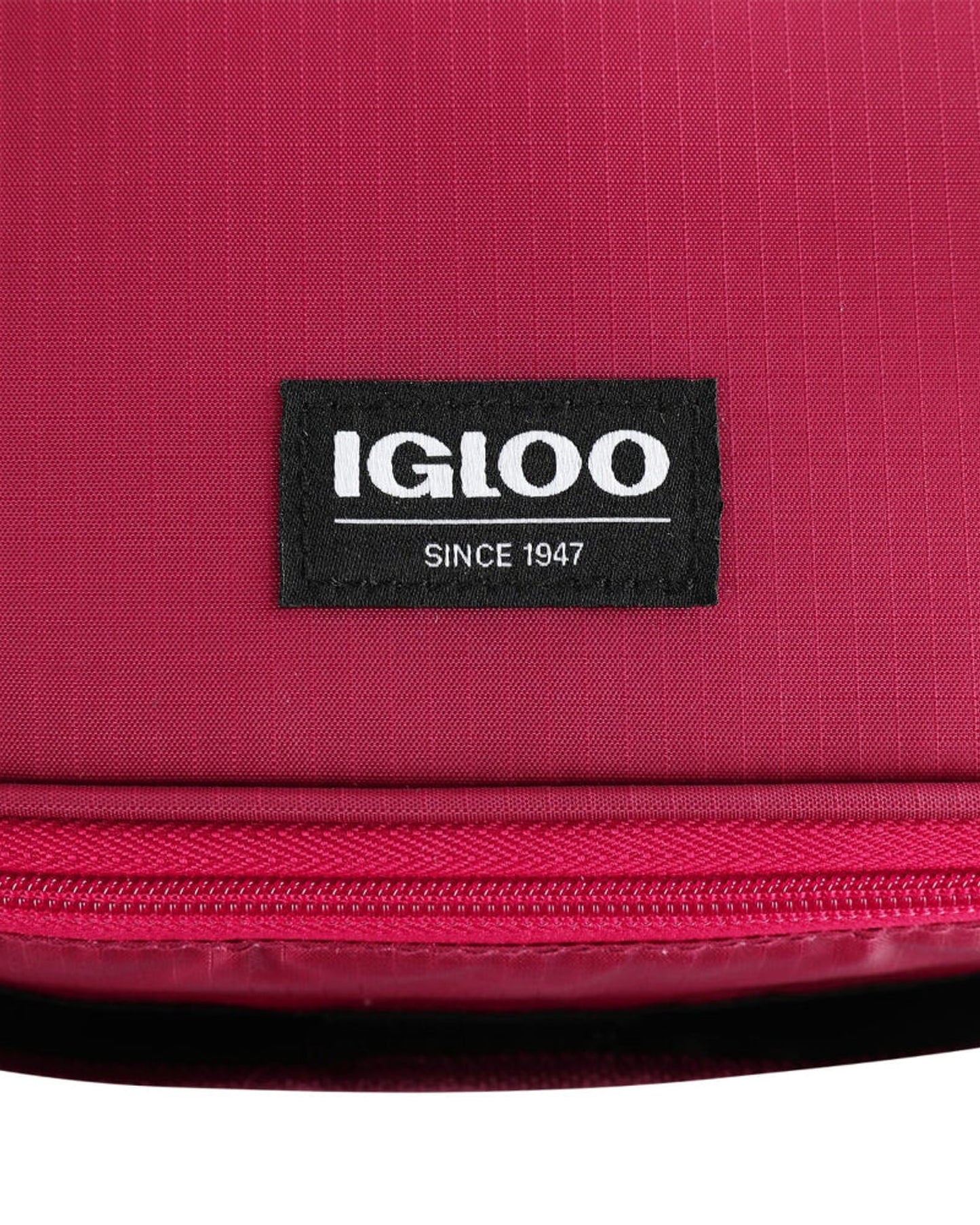 00066396-Igloo-Collapse & Cool 12 Cool Bag - Zinfandel / Scooter