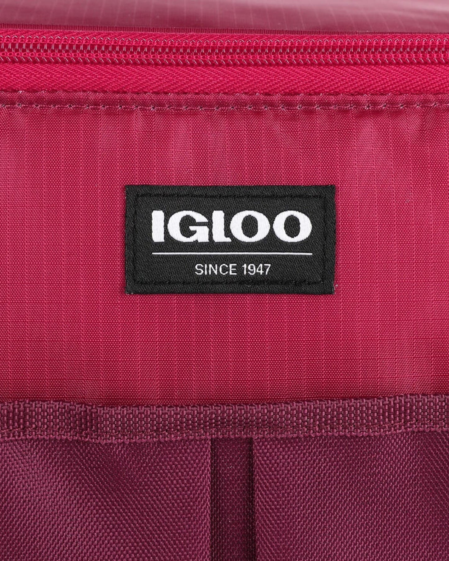 00066406-Igloo-Hlc 24 Opp Essentials Cooler Bag - Scooter.Zinfandel
