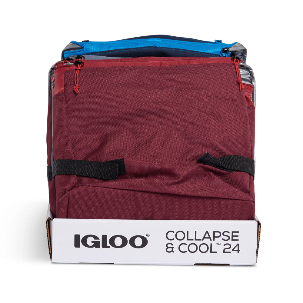Igloo-Collapse & Cool 24 Solid Assortment - Blue/Black