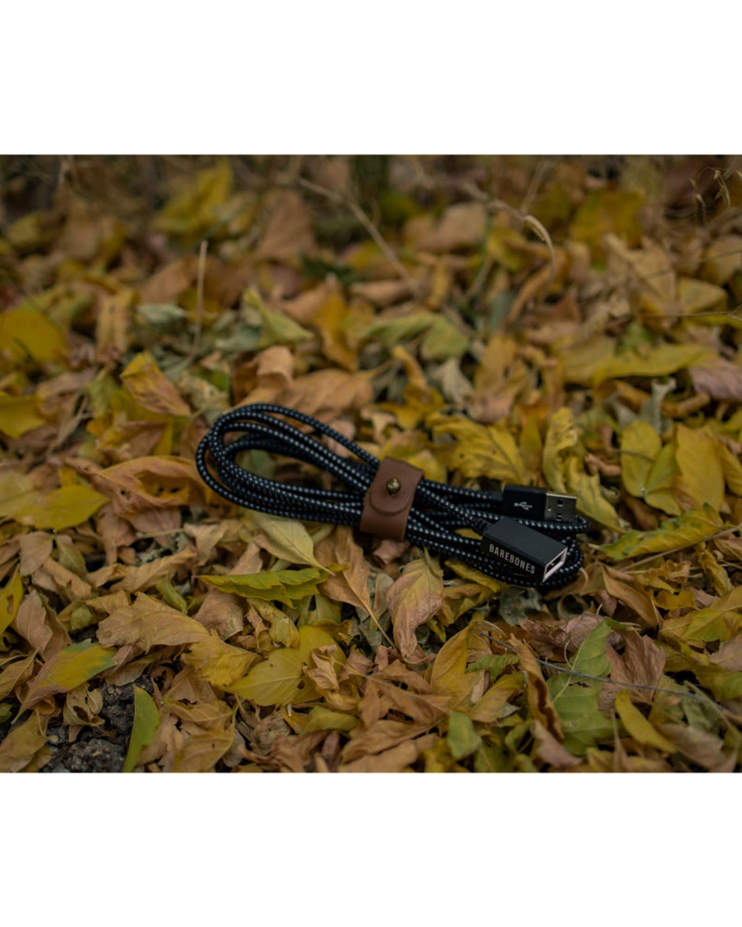 BareBones - 2.0 USB Extension Cable