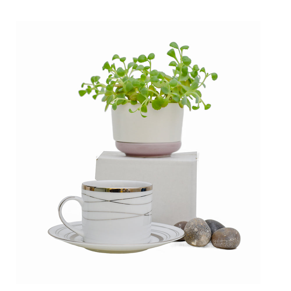 Dankotuwa Dinner Set 24Pc White Silver Helen