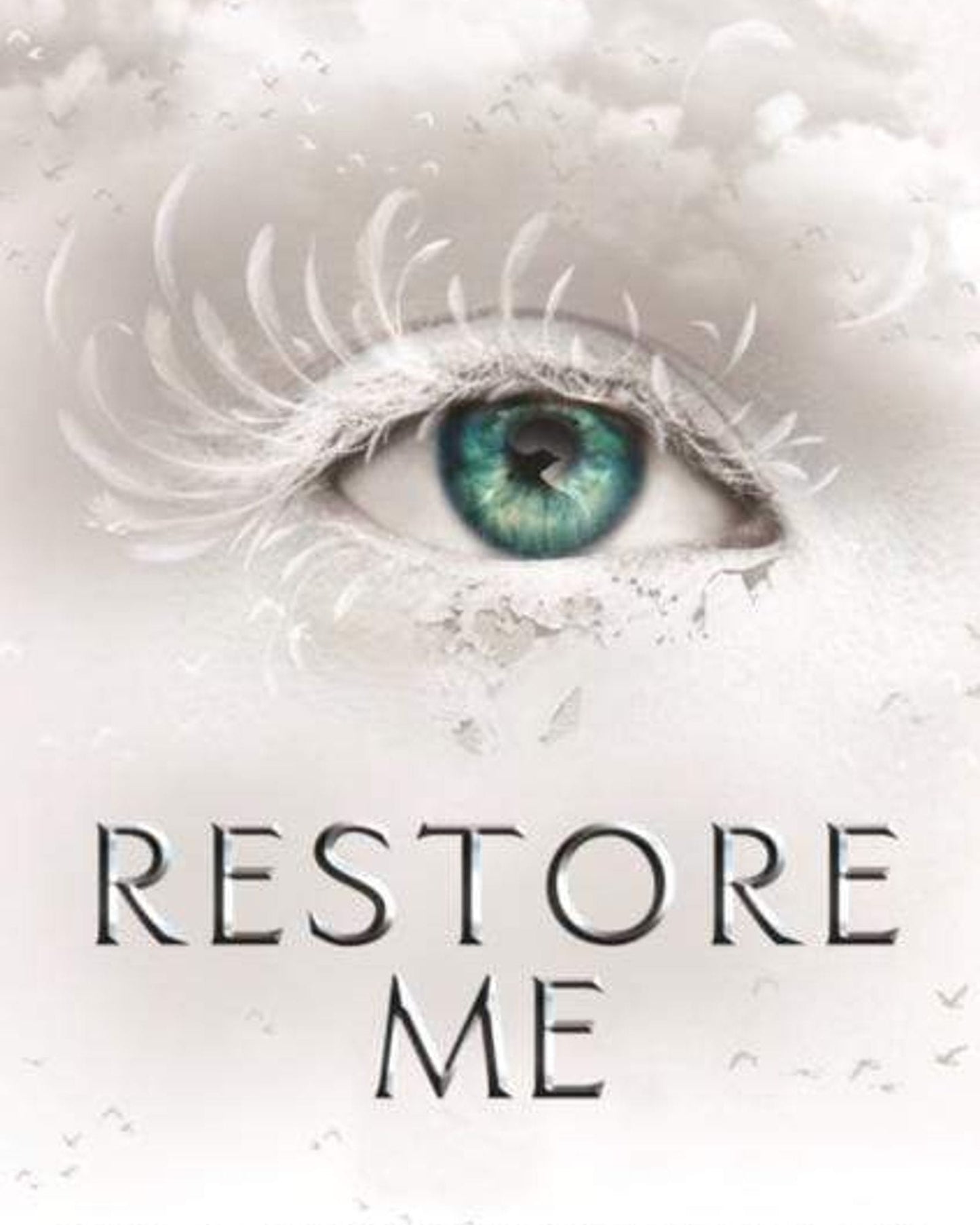 Restore Me : 4