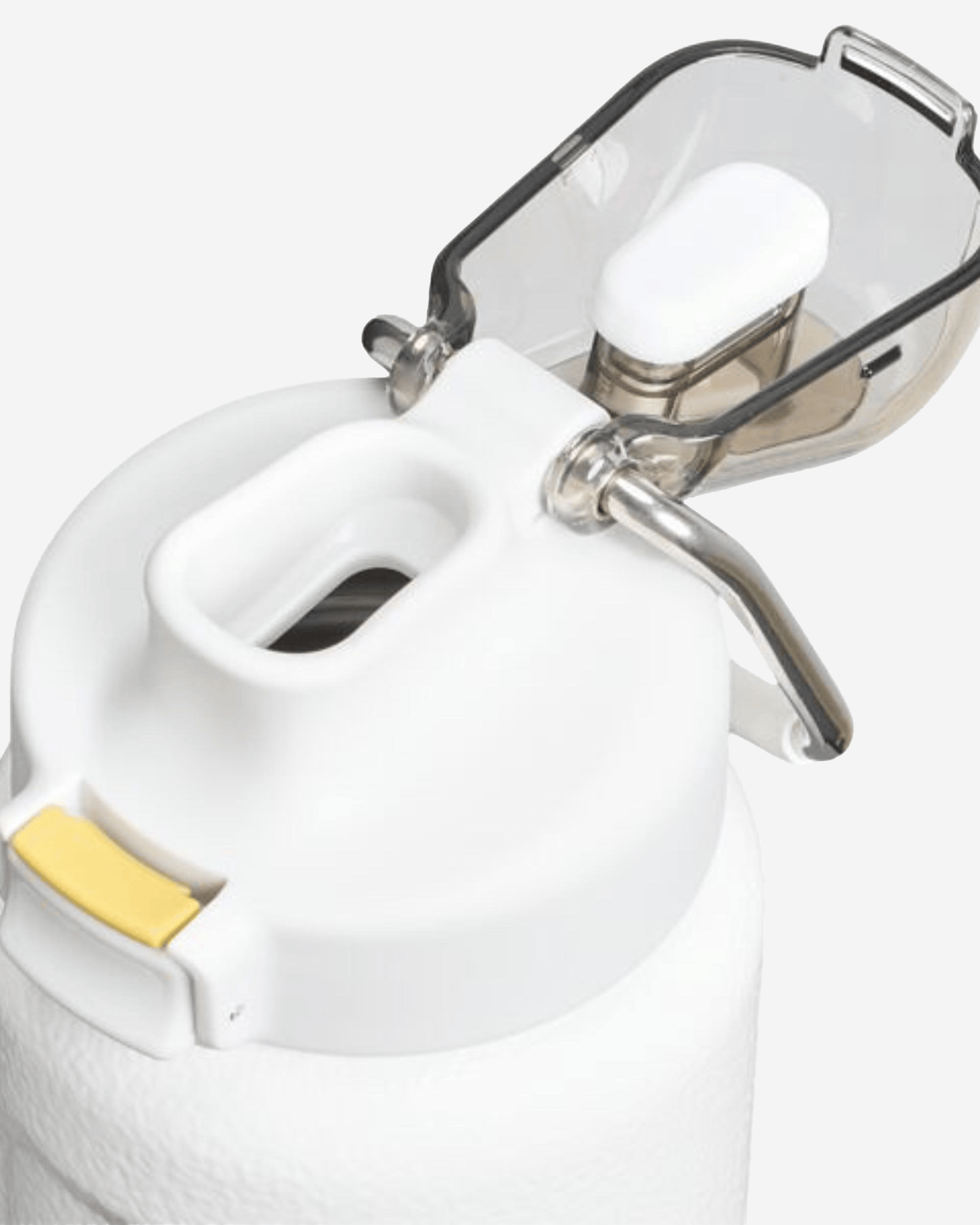 Stanley Classic Wellspring Bottle 700 ml Hammertone Frost