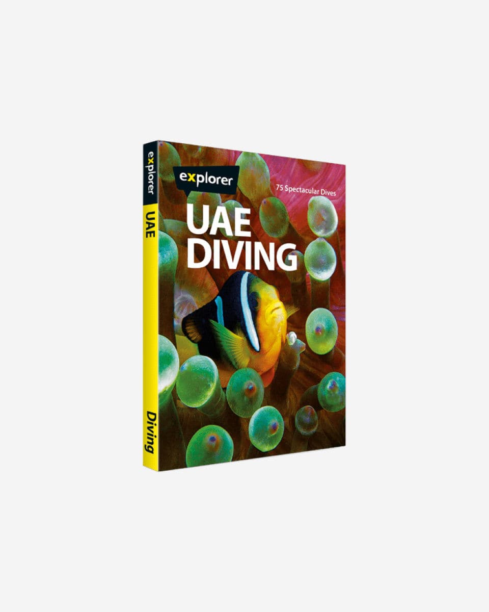 Uae Diving