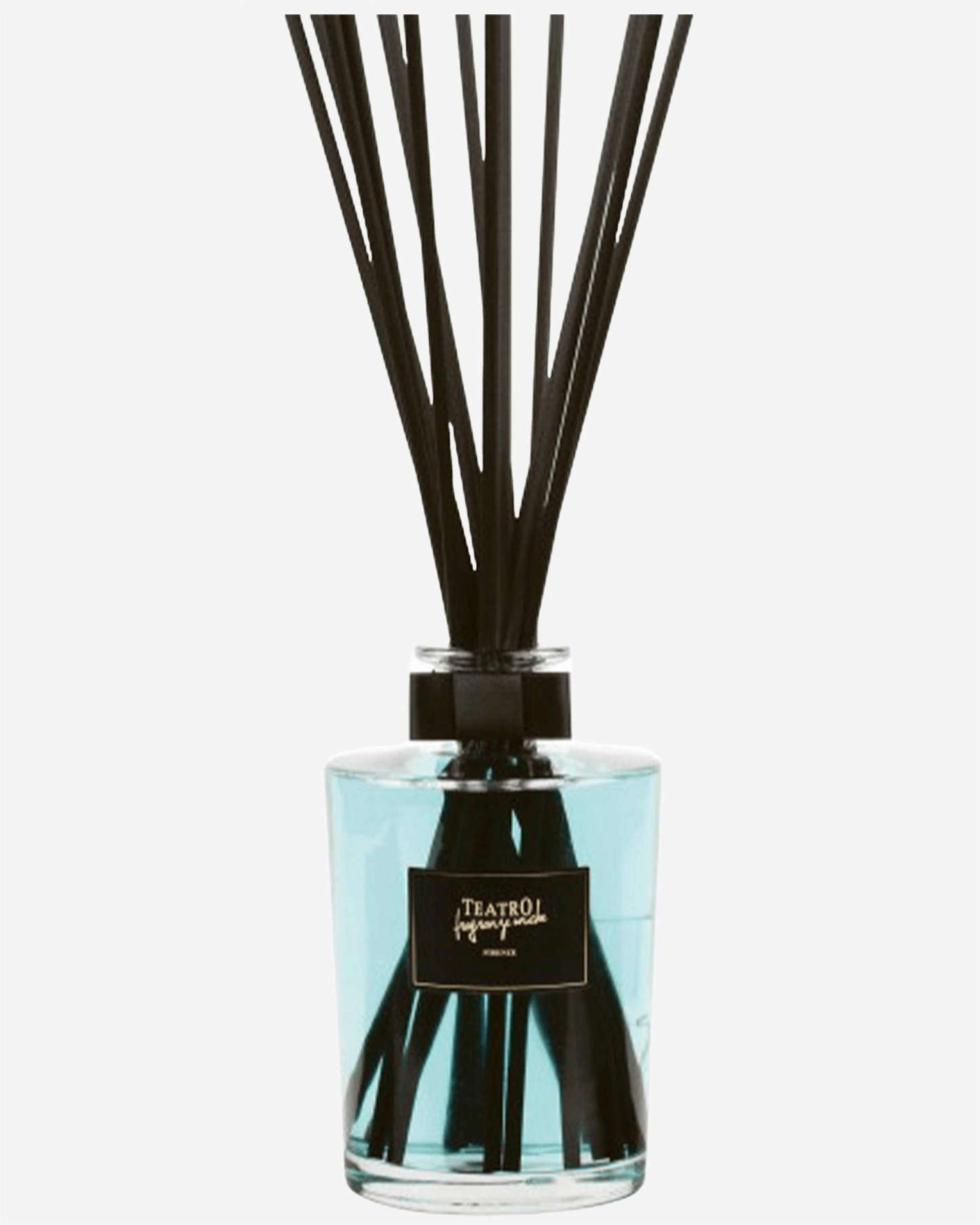 Sea Wind Sticks 1500ml Transparent Vase