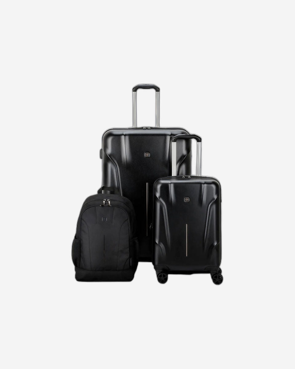 Wenger Ryon 2-piece luggage set plus free laptop backpack