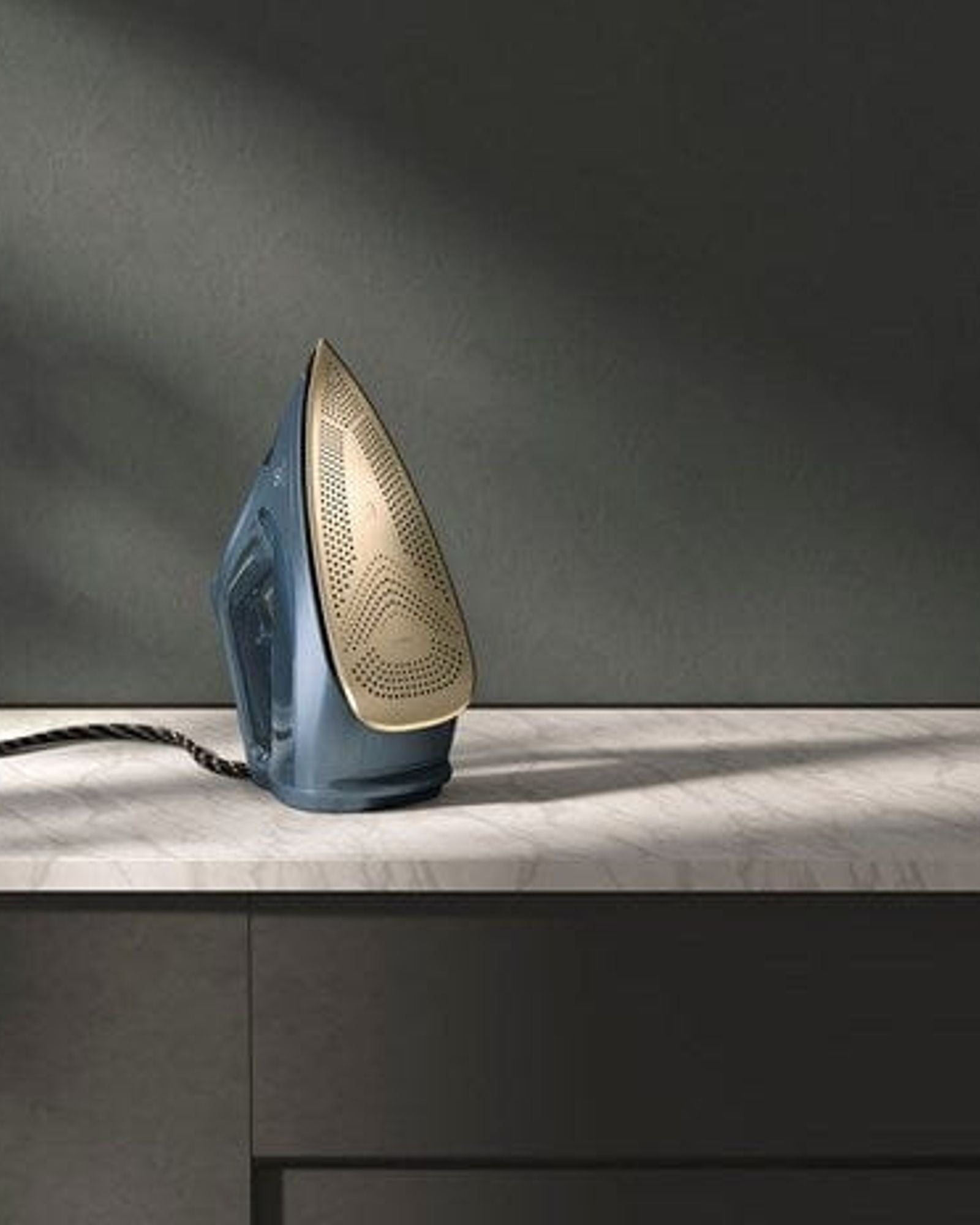 Electrolux Renew 800 Steam Iron