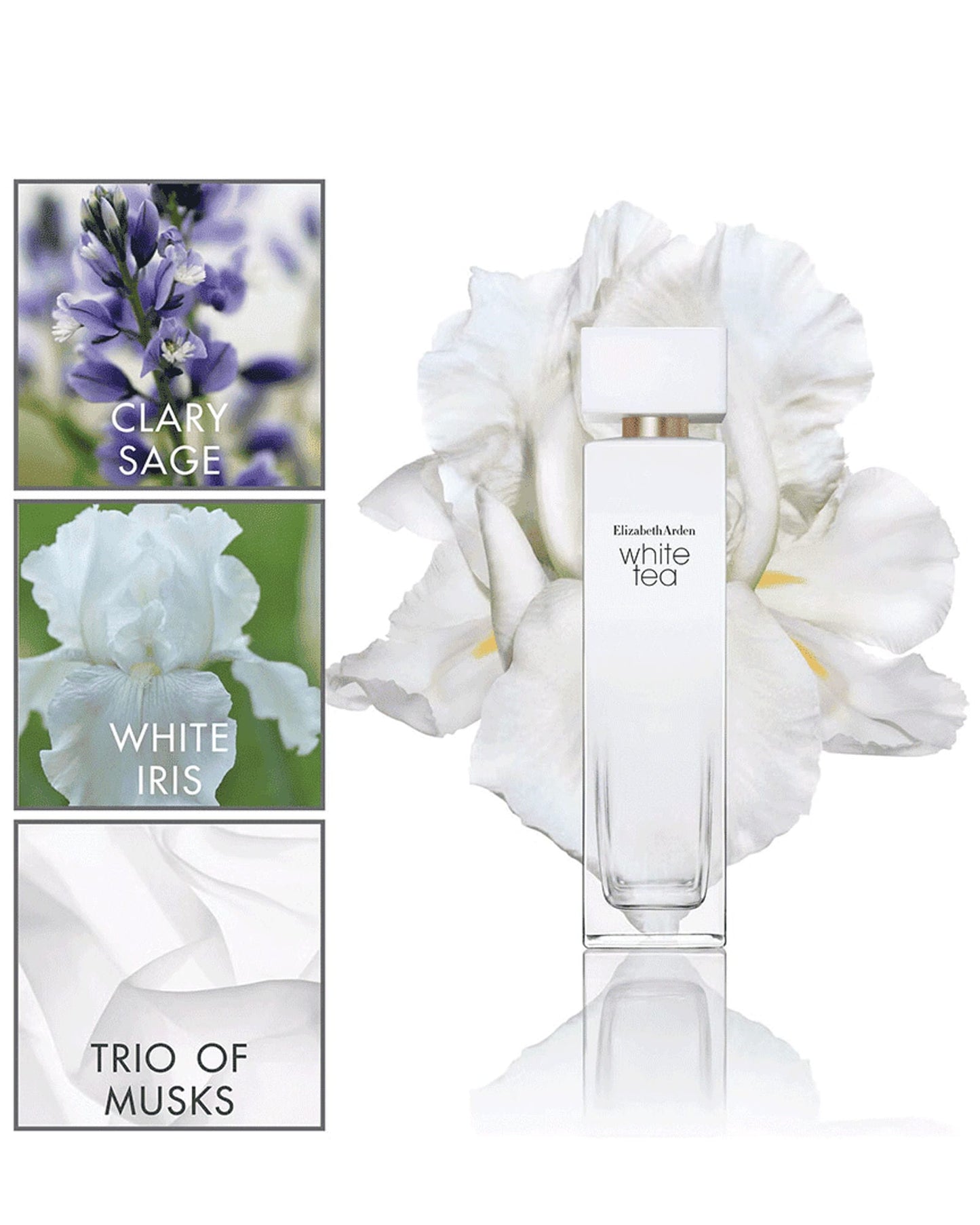 Elizabeth Arden White Tea EDT 100ml