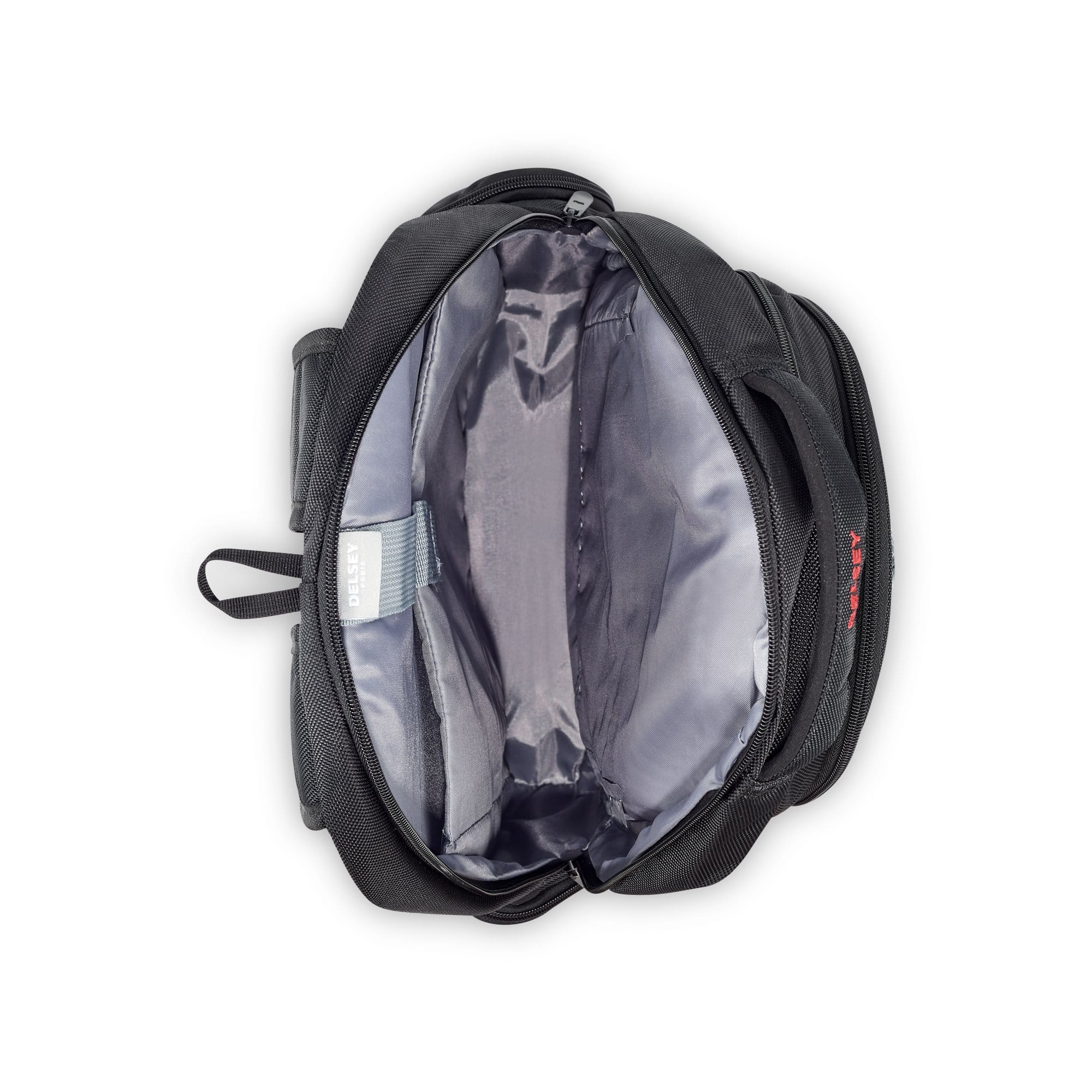 Delsey Paris Element Flier Backpack
