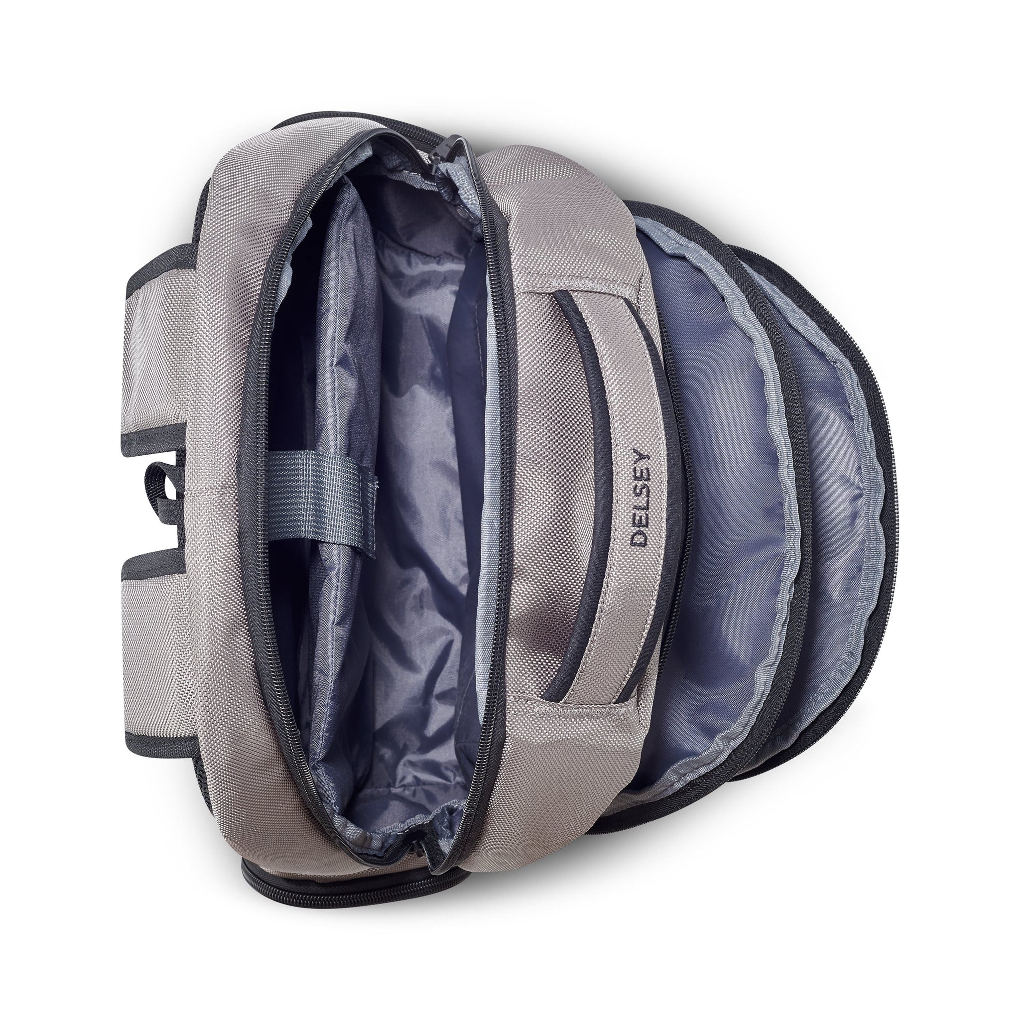 Delsey Paris Element Flier Backpack