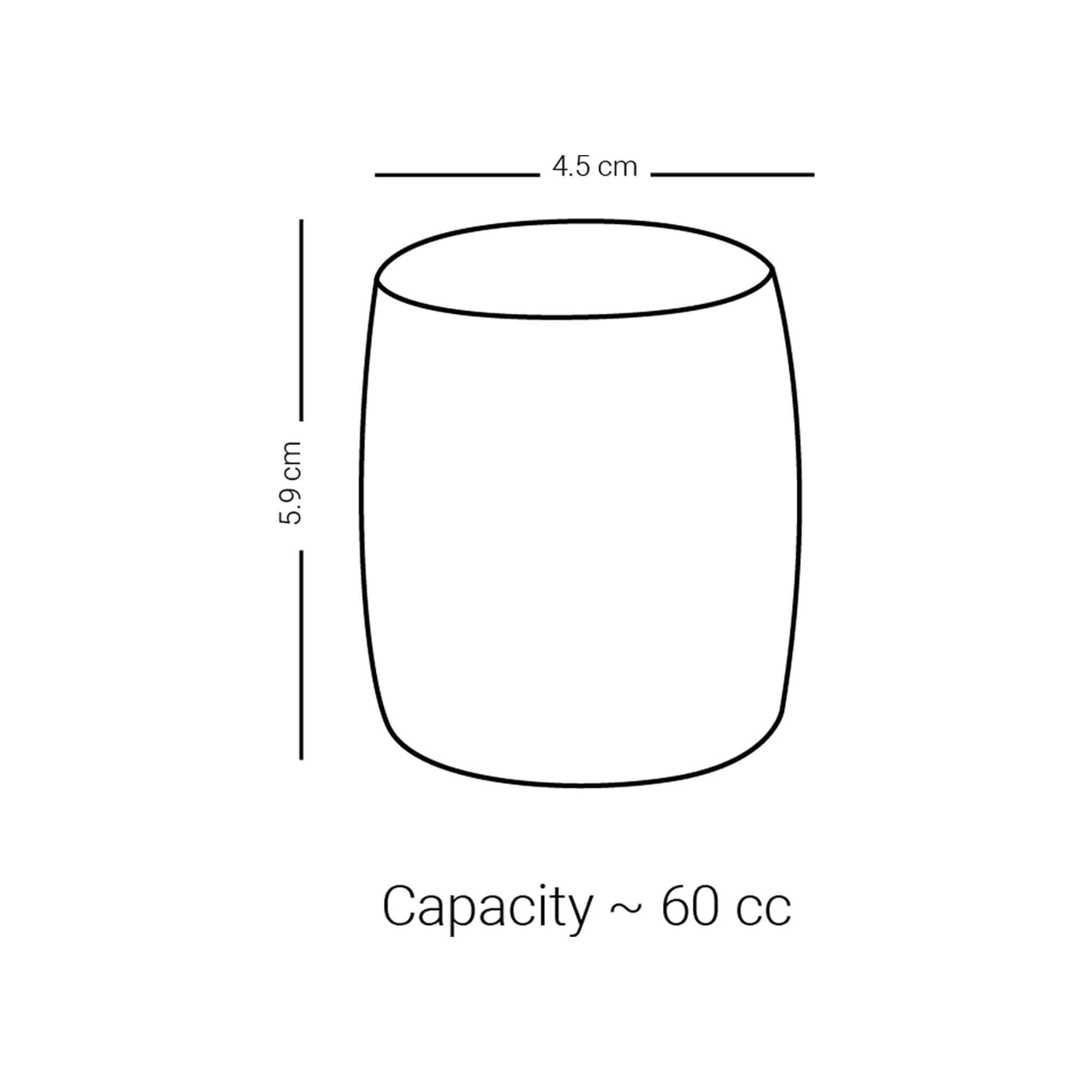 Dimlaj Suroor Short Tumblers 6Pc Platinum