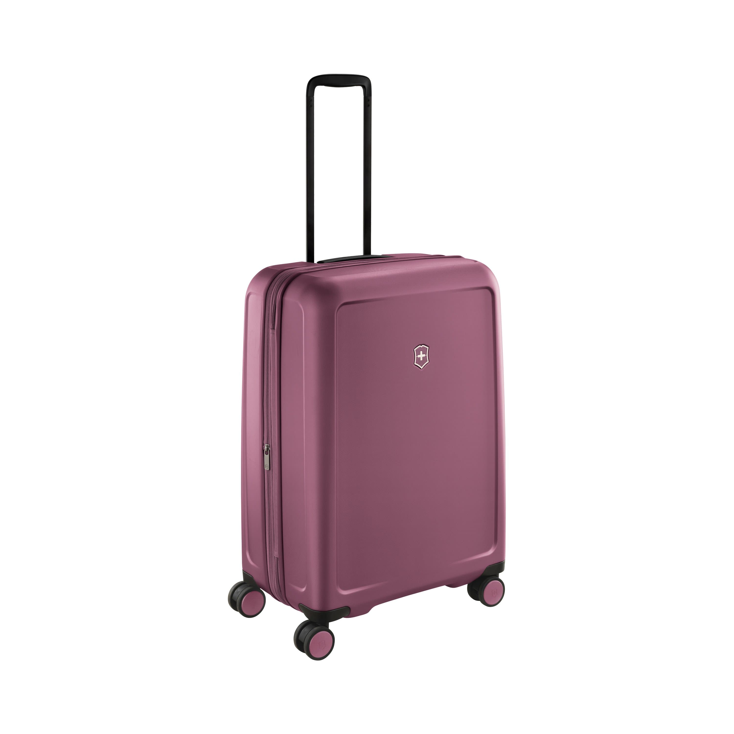 Victorinox Connex Luggage