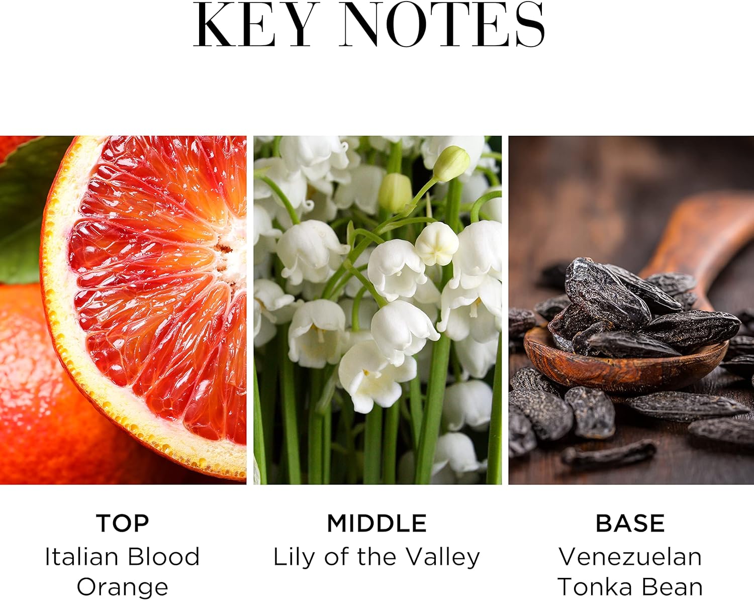 Elizabeth Arden White Tea Fraiche EDT 100ml