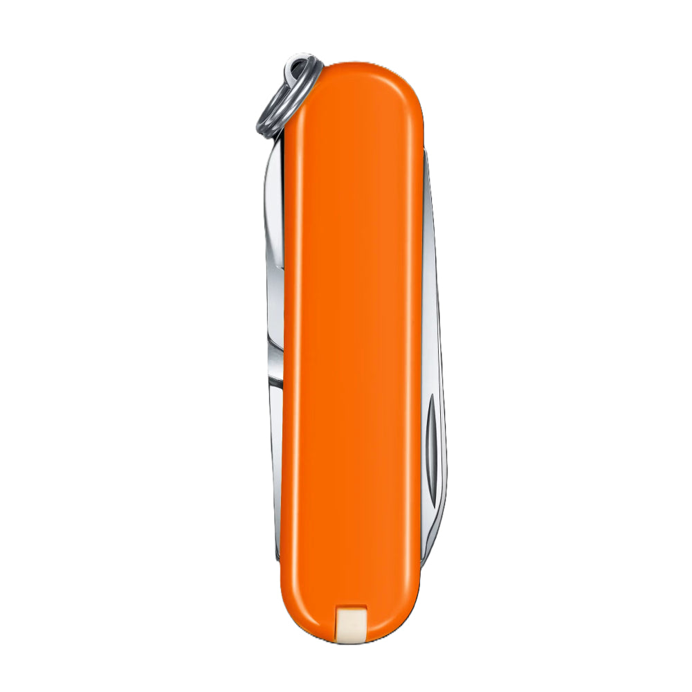Victorinox Classic Sd 58 Mm Mango Tango with 7 function - 0.6223.83G