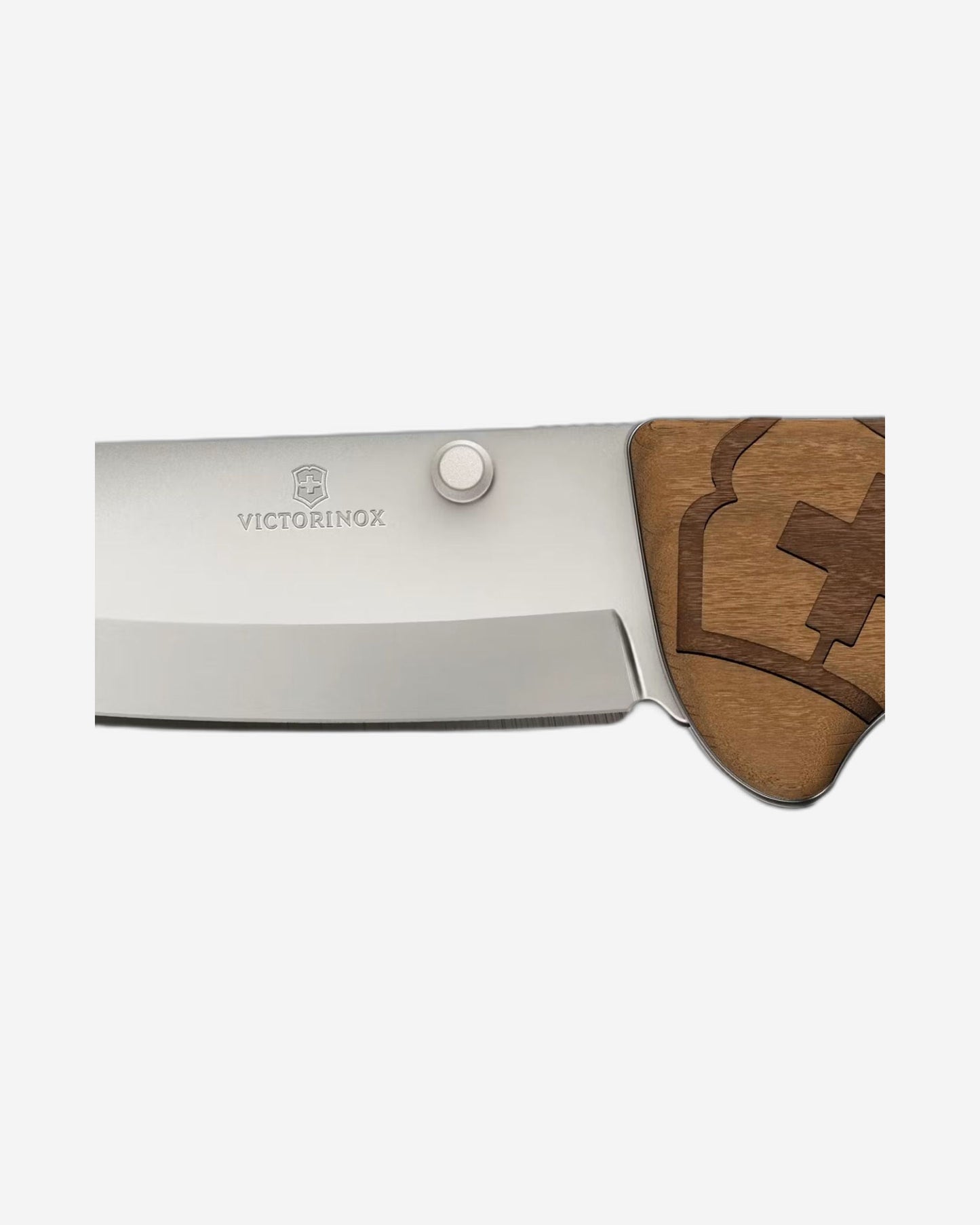Victorinox Evoke Wood Brown - 0.9415.D630