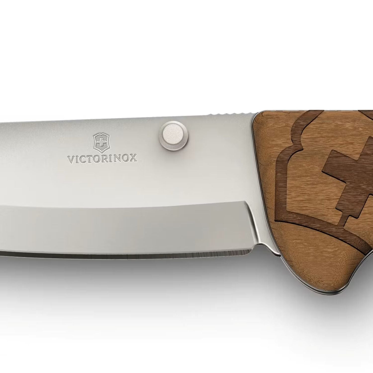 Victorinox Evoke Wood Brown - 0.9415.D630