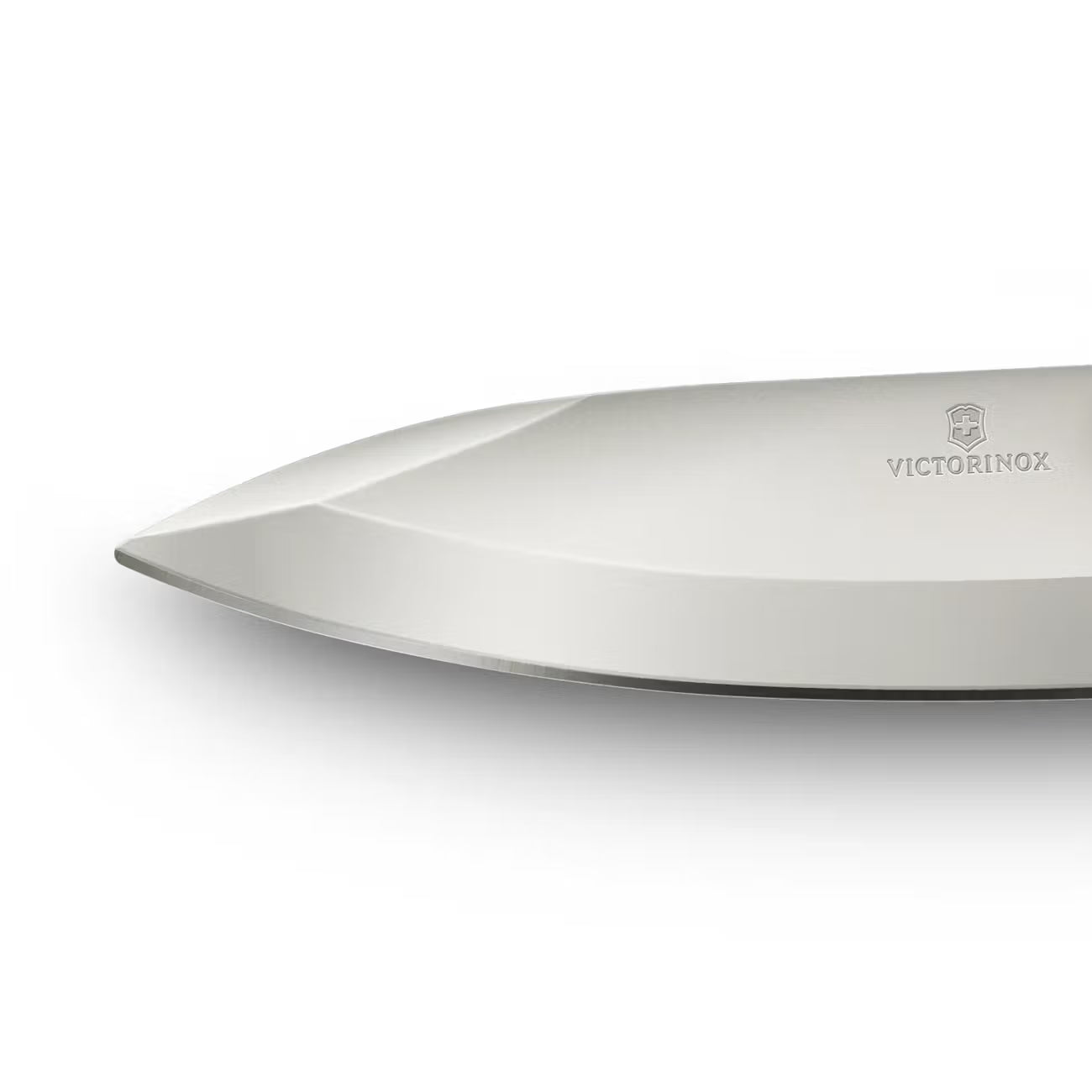Victorinox Evoke Wood Brown - 0.9415.D630