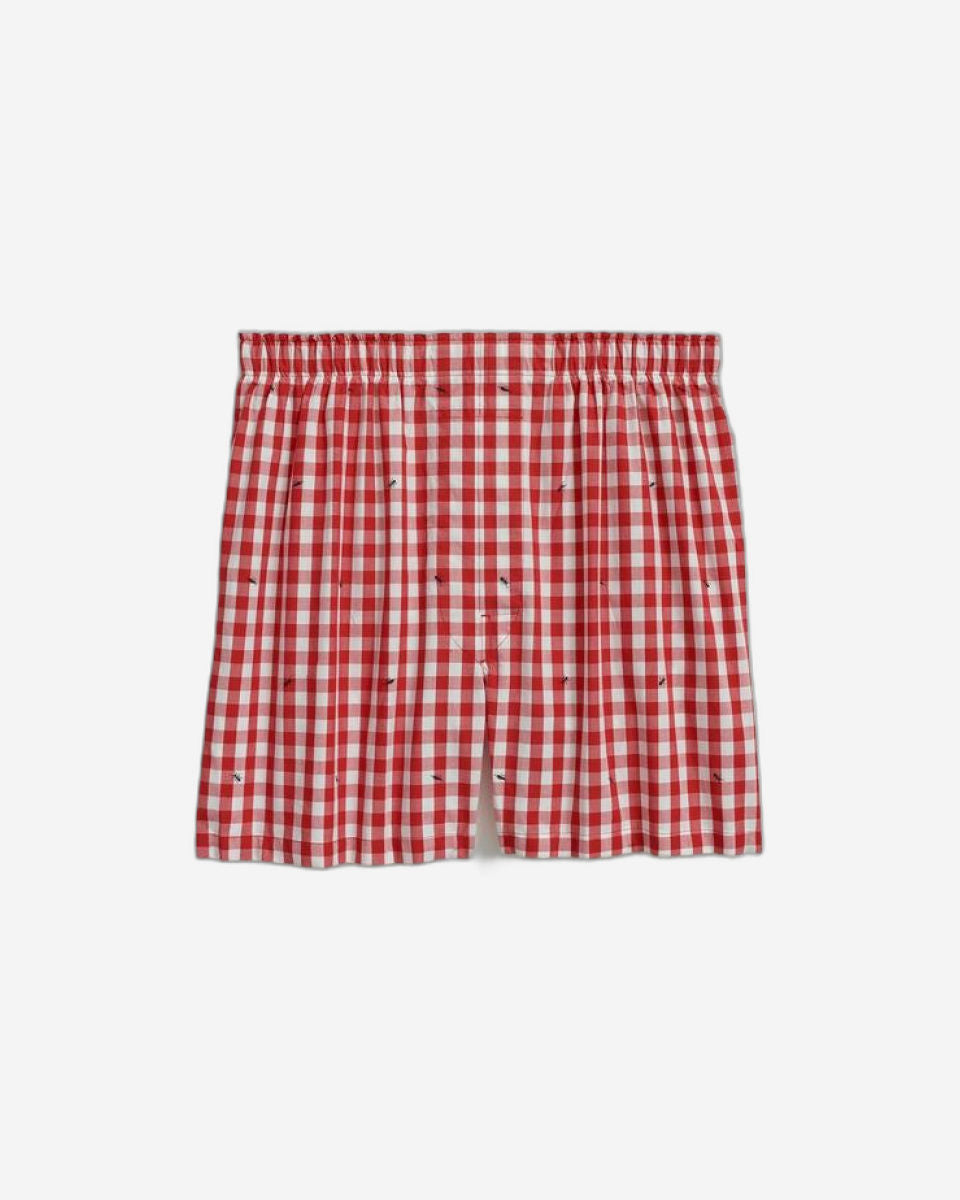 BXR CTN BC ANTS IN PANTS ANTS