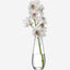 Lsa Flower Tall Stem Vase Clear
