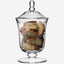 Serve Bonbon Jar H25cm Clear