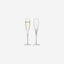 Savoy Champagne Flute 200ml Clear x 2