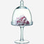 Serve Stand & Dome 15cm/14cm  Clear