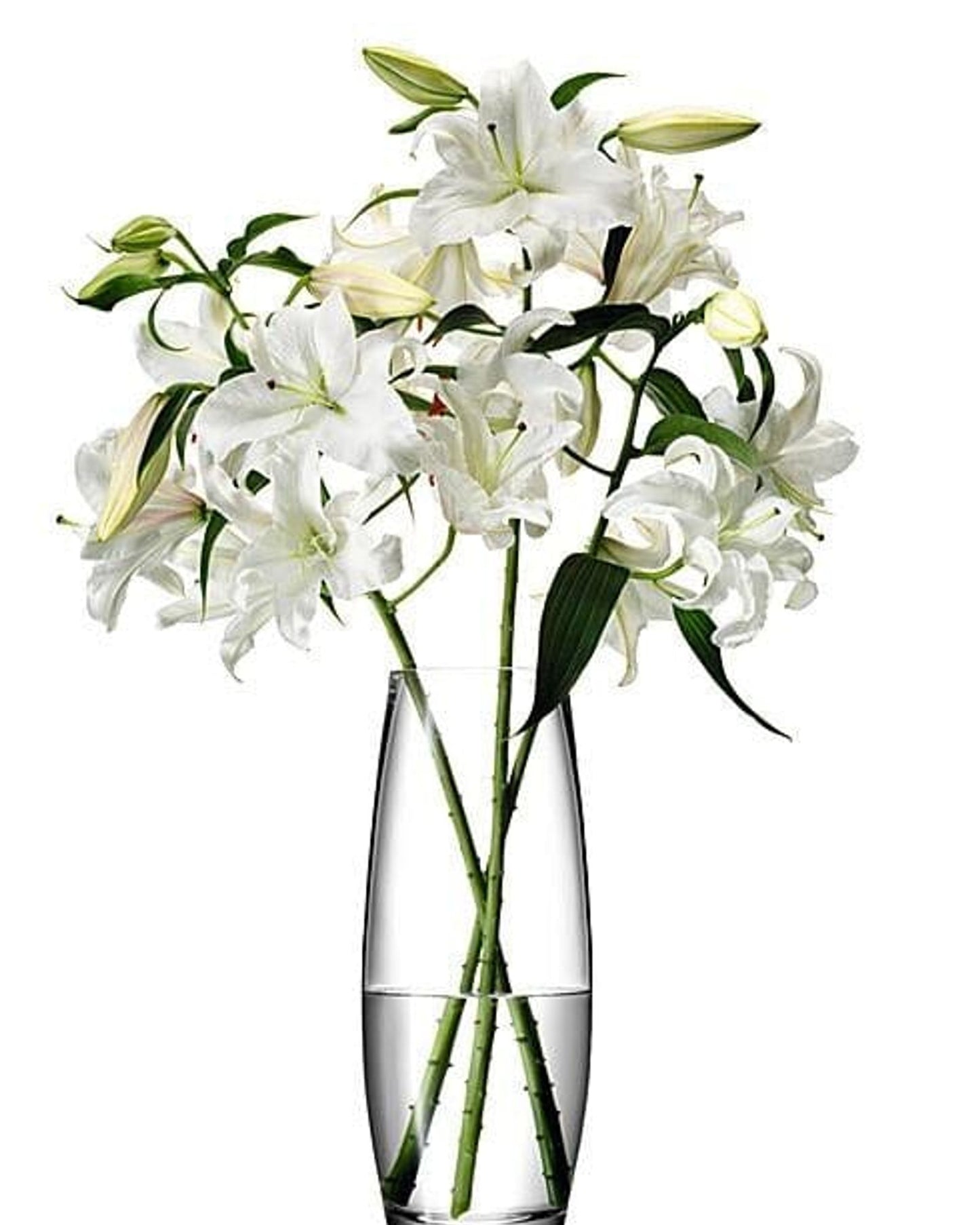 Lsa Flower Grand Stem Vase Clear