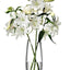 Lsa Flower Grand Stem Vase Clear