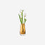 Lsa Flower Colour Bud Vase Amber