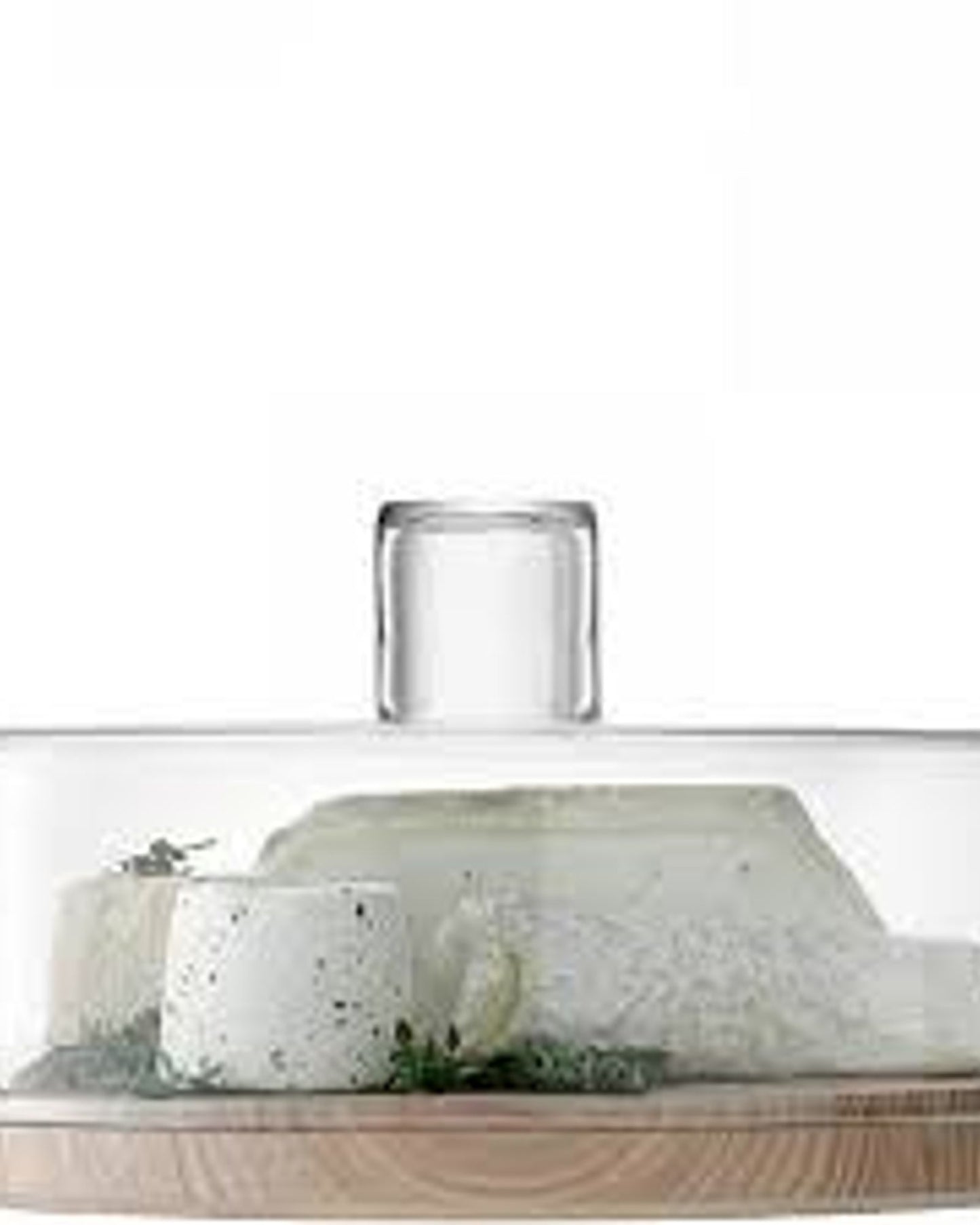 Lsa Lotta Cheese/Pastries Dome Clear& Ash Base