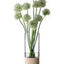 Lsa Lotta Vase Clear& Ash Base