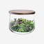 Lsa City Bowl & Walnut Lid Clear