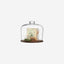 Lsa City Dome & Walnut Base Clear