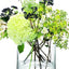 Lsa Column Vase/Candleholder Clear