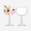 Lsa Gin Balloon Glass Clearx 2