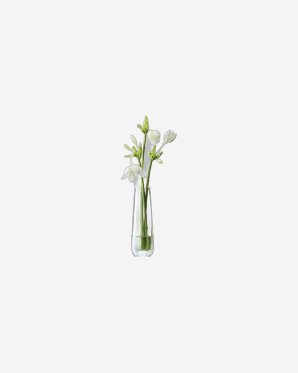 Pearl Vase Mother of Pearl