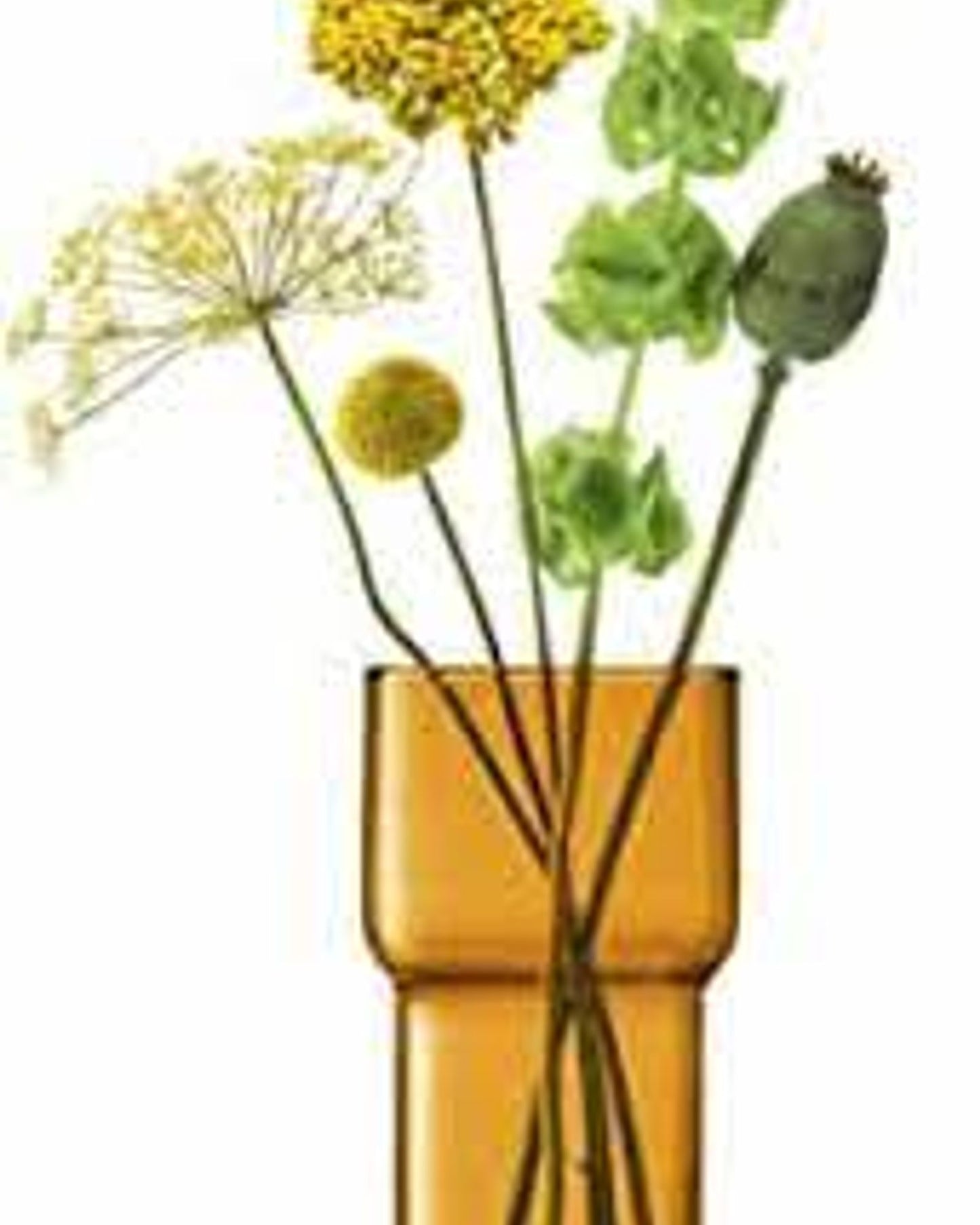 Utility Vase H22cm Amber